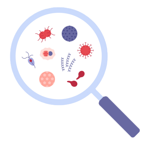 STIs and BBVs under a magnifying glass