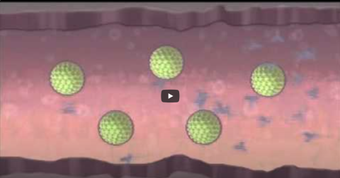 How does HPV Work