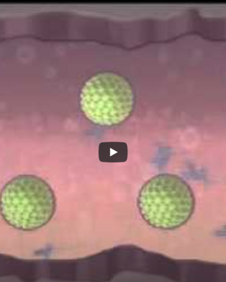 How does HPV Work